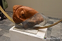 VBS_8432 - 179.ma Esposizione di Arti Figurative